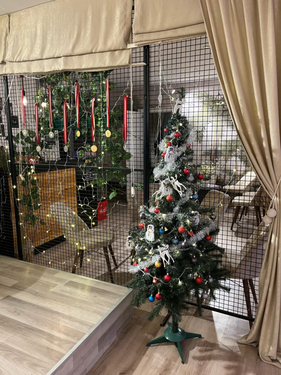 20. Cadde Dans Kursları