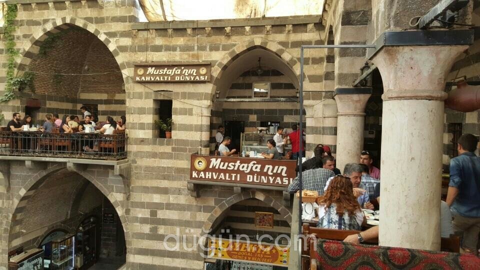 Mustafa'nın Dünyası