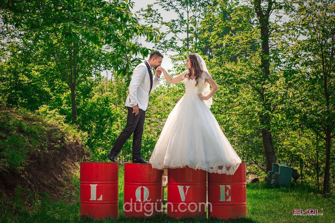 Ekol Fotoğrafçılık