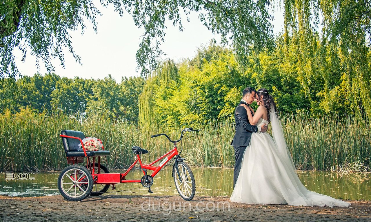 Ekol Fotoğrafçılık