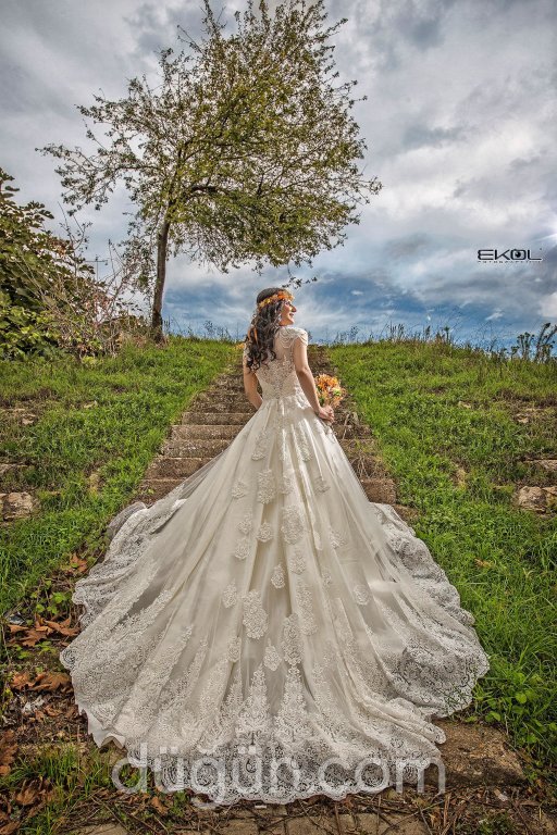 Ekol Fotoğrafçılık