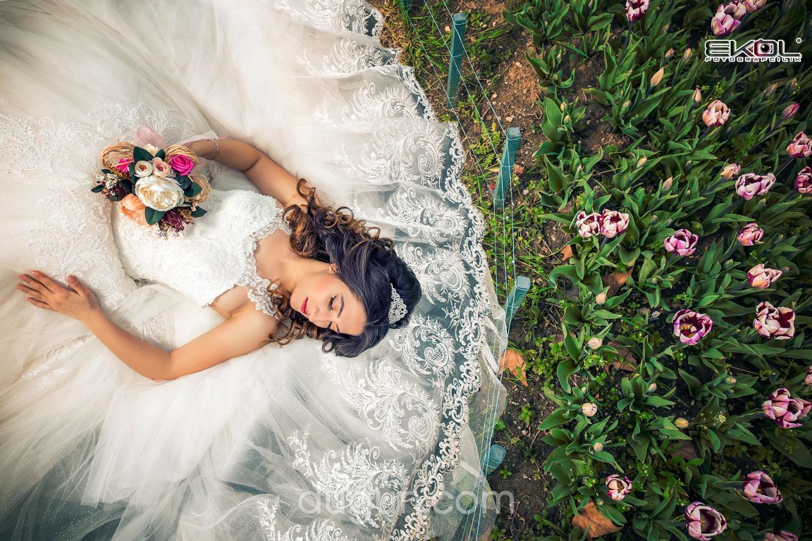 Ekol Fotoğrafçılık