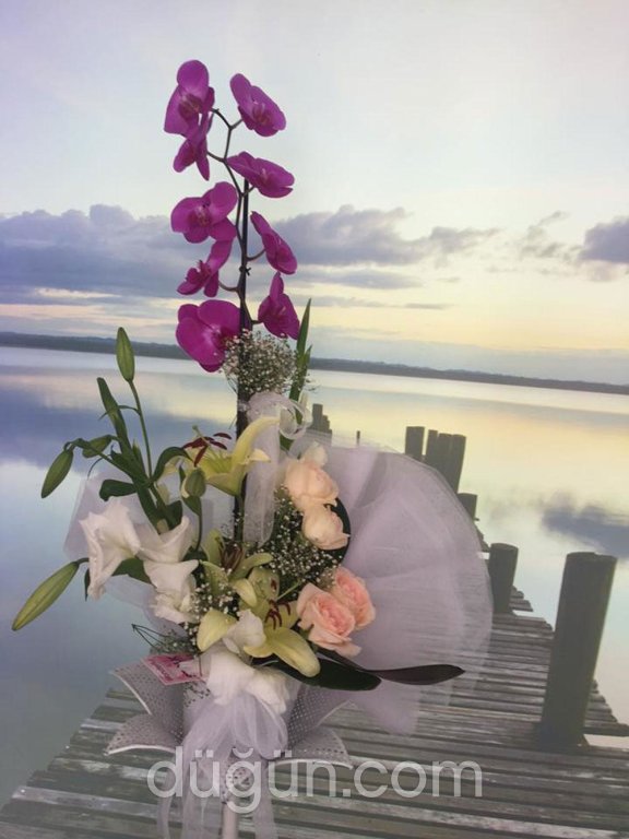 gardenya organizasyon