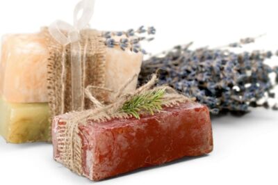 sekerya organizasyon