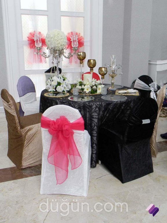 Minorvet Organizasyon