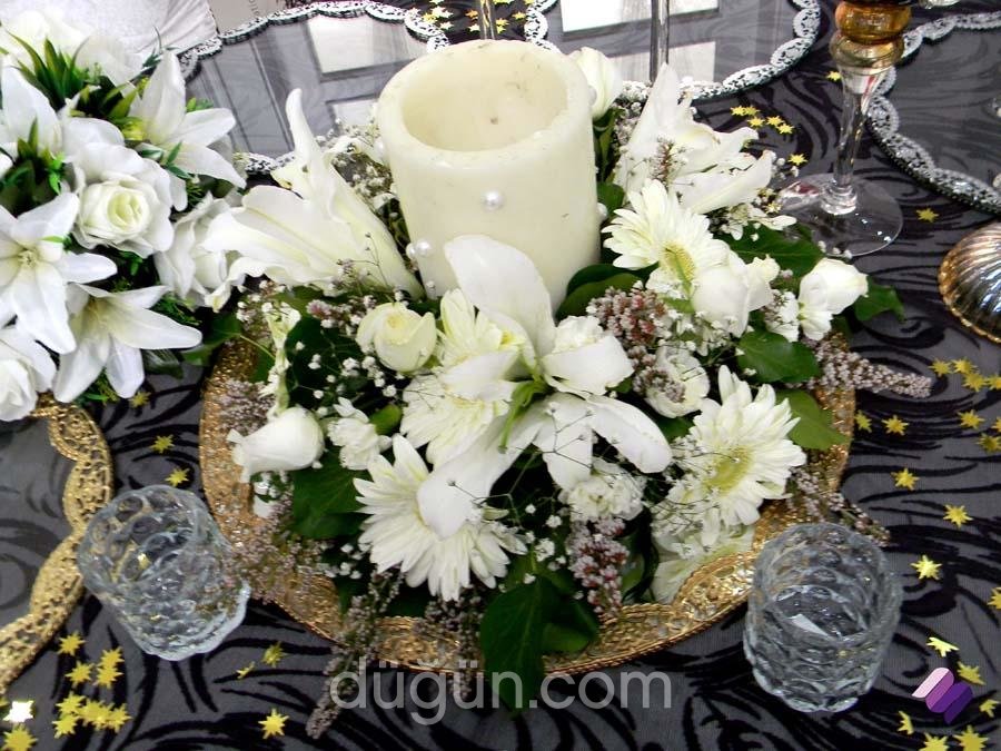 Minorvet Organizasyon