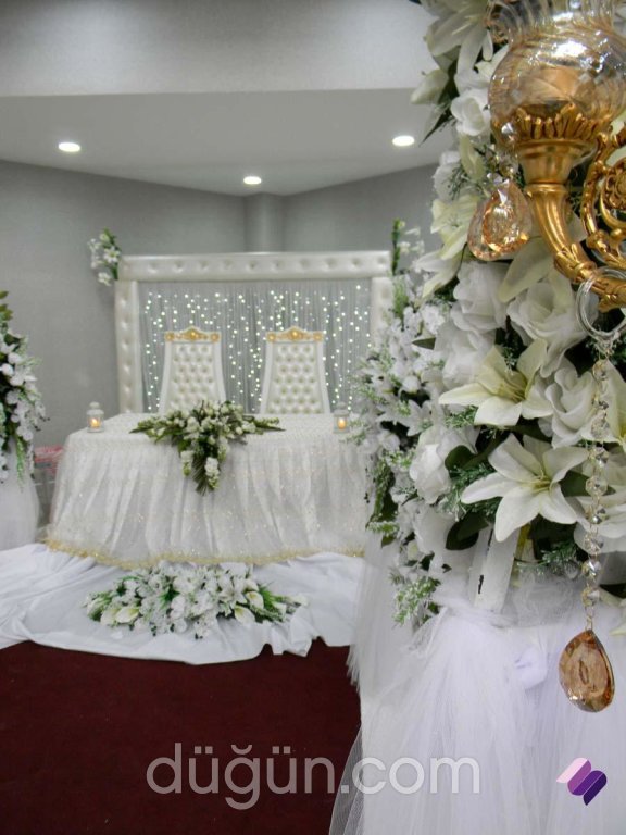 Minorvet Organizasyon