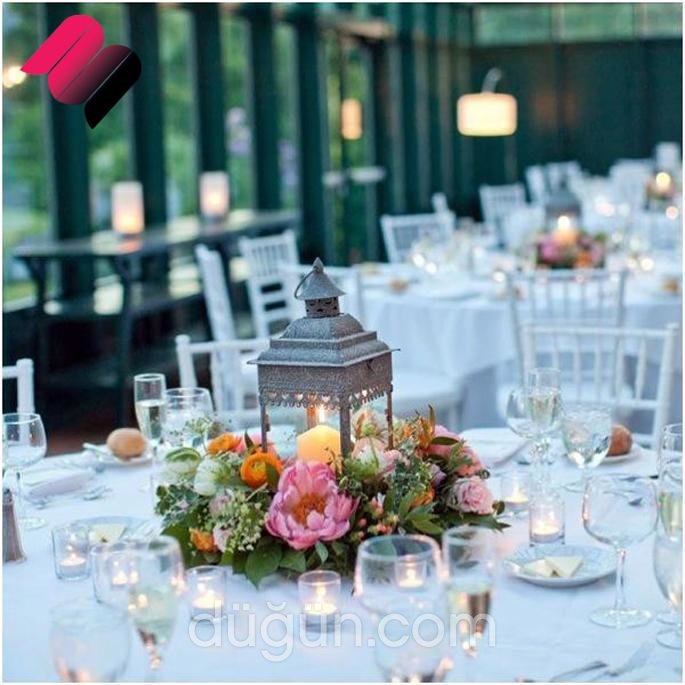 Minorvet Organizasyon