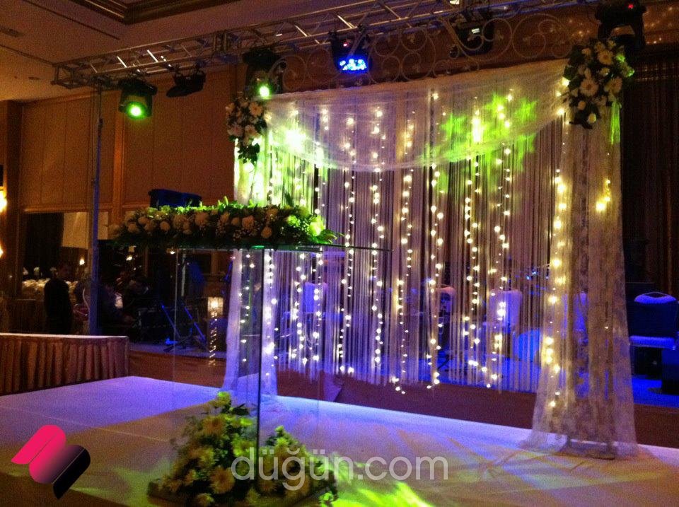 Minorvet Organizasyon