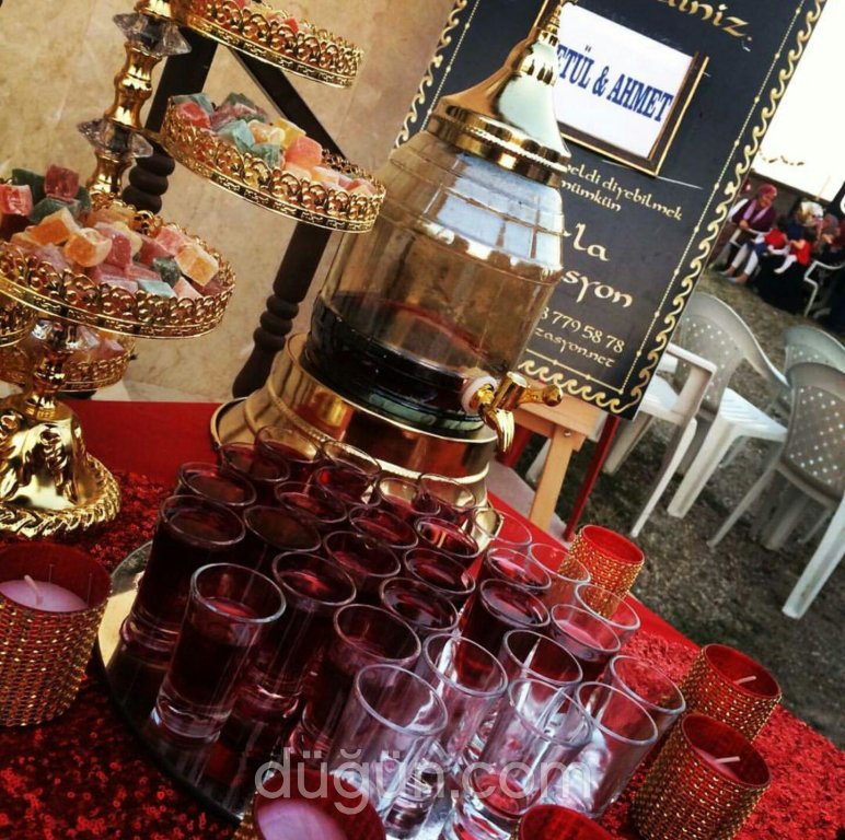 Öznur'la Organizasyon