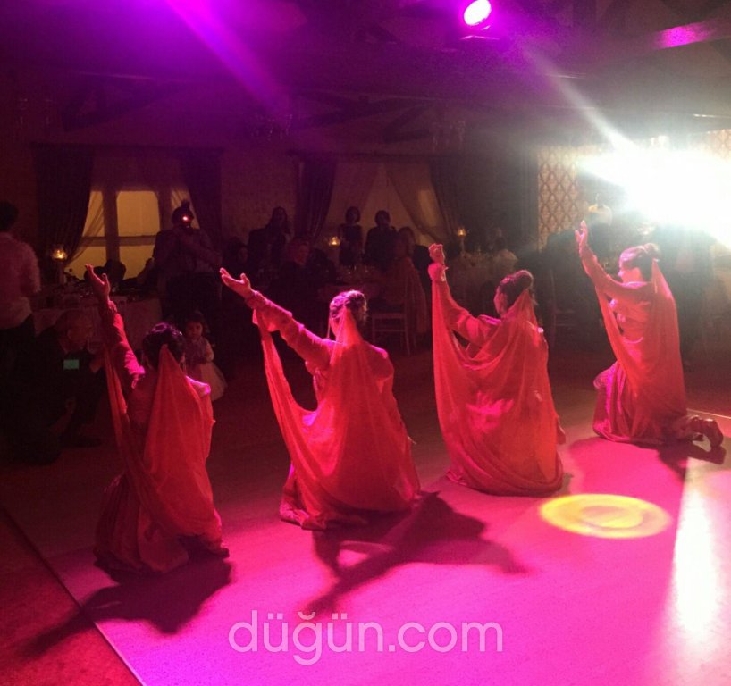 Öznur'la Organizasyon