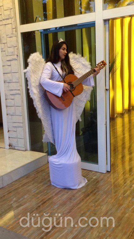 Şahane Ziyafet ve Balo Salonu