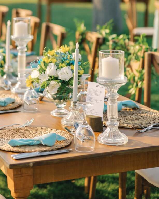 Lavinya Organizasyon