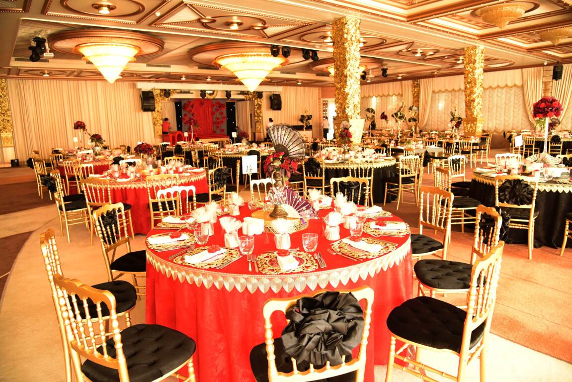 Gala Kaşıbeyaz
