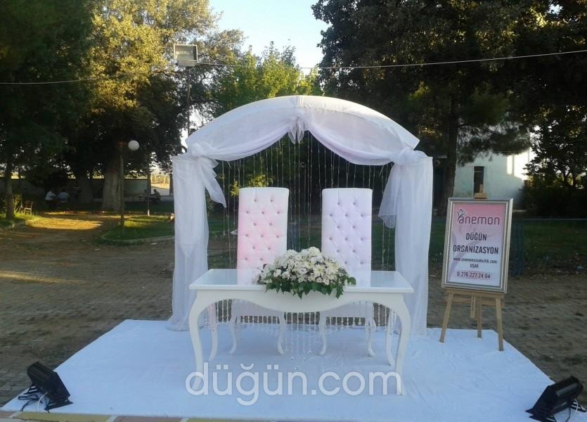 Anemon Çiçekçilik