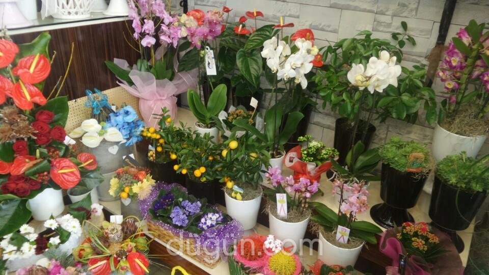 Elmasım Çiçekçilik