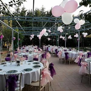 Rose Garden Kır Bahçesi