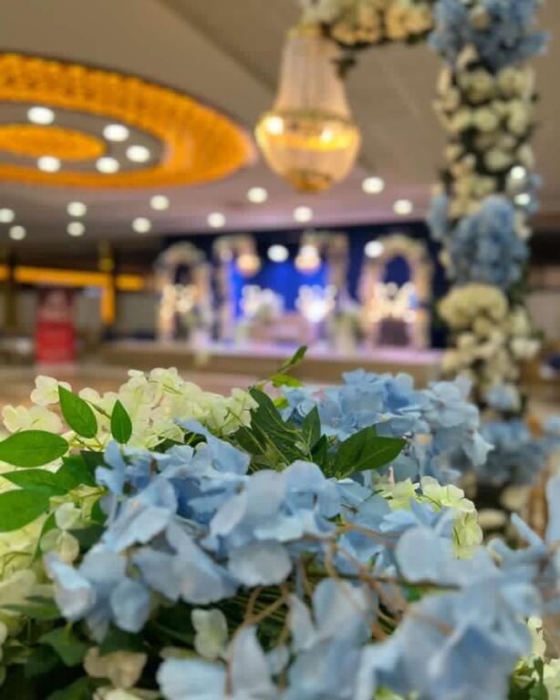 Yenişehir Çamlık Düğün Sarayı