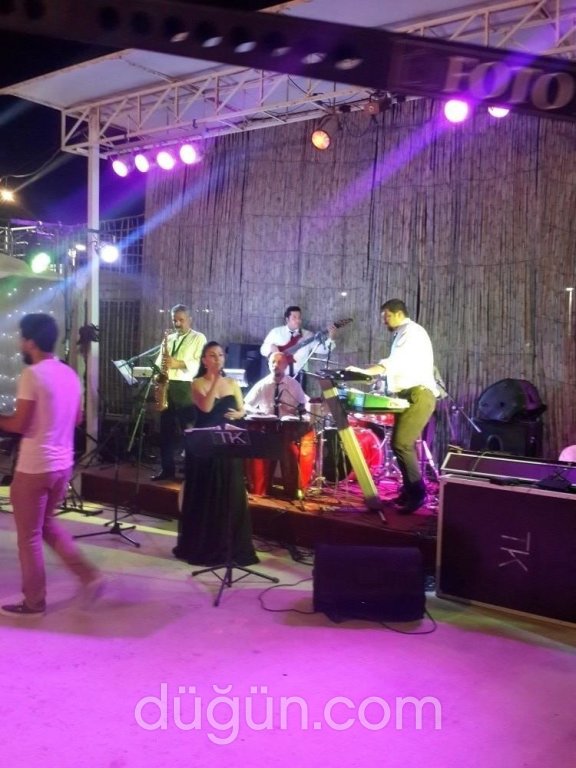 Tolga Kara Organizasyon