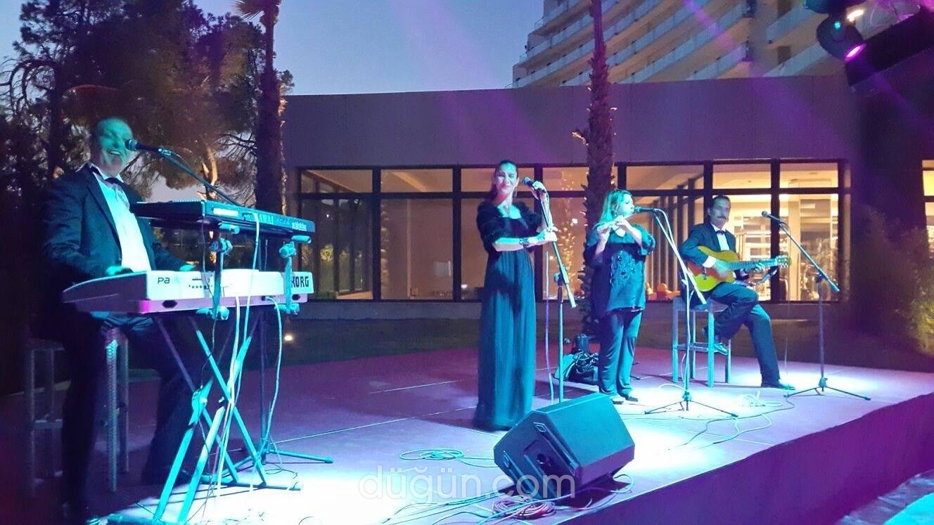 Tolga Kara Organizasyon