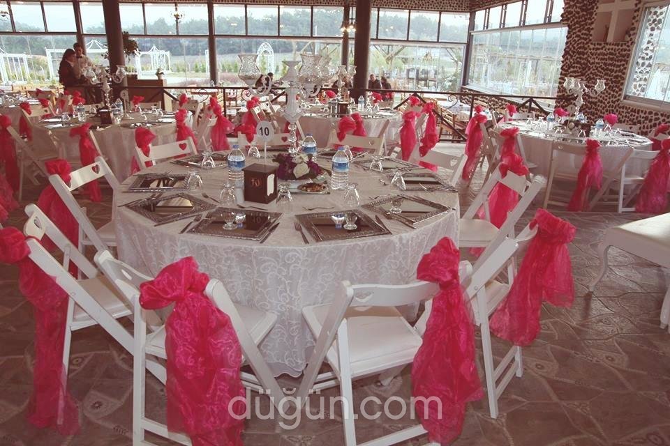 Tolga Kara Organizasyon