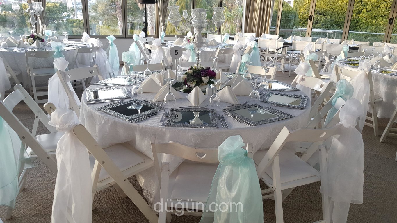 Tolga Kara Organizasyon