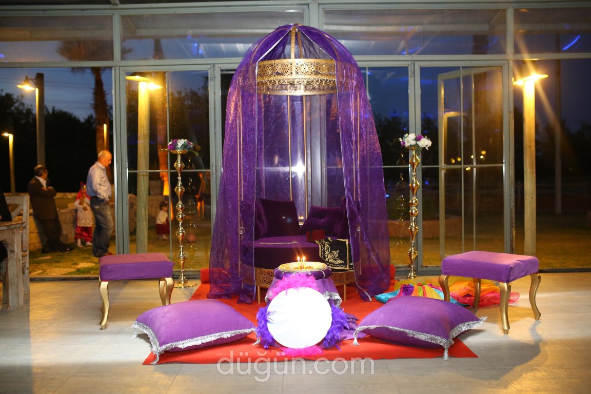 Tolga Kara Organizasyon