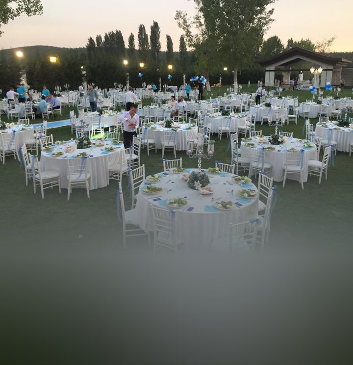 Berk Organizasyon