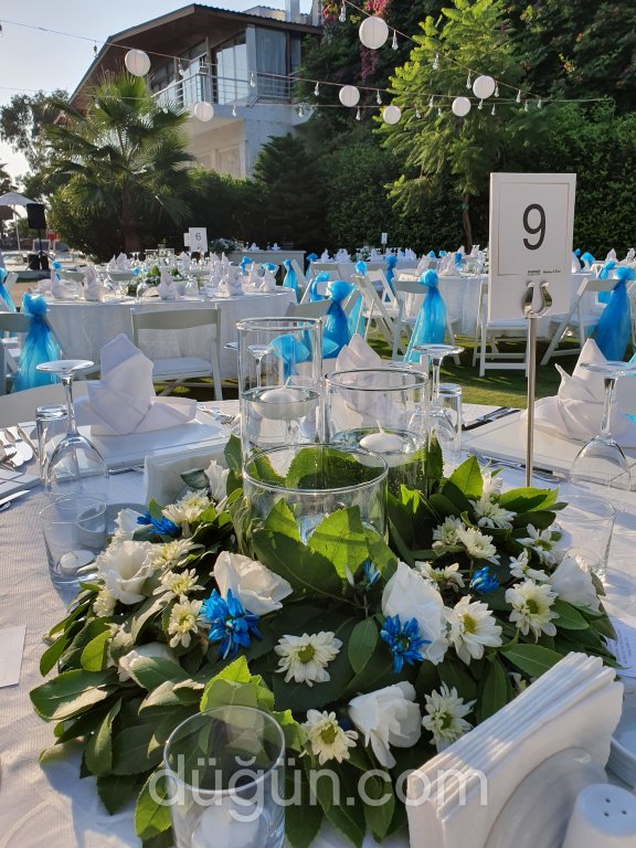 Kuşadası Alesta Organizasyon