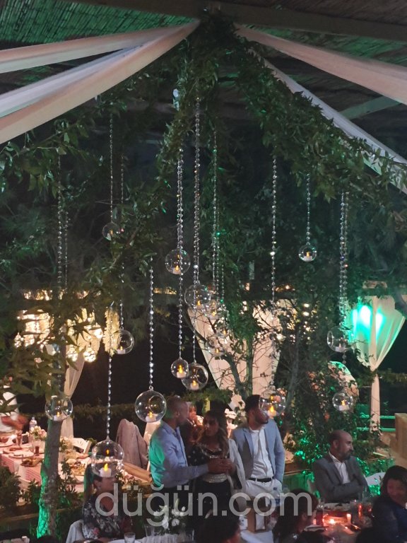 Kuşadası Alesta Organizasyon