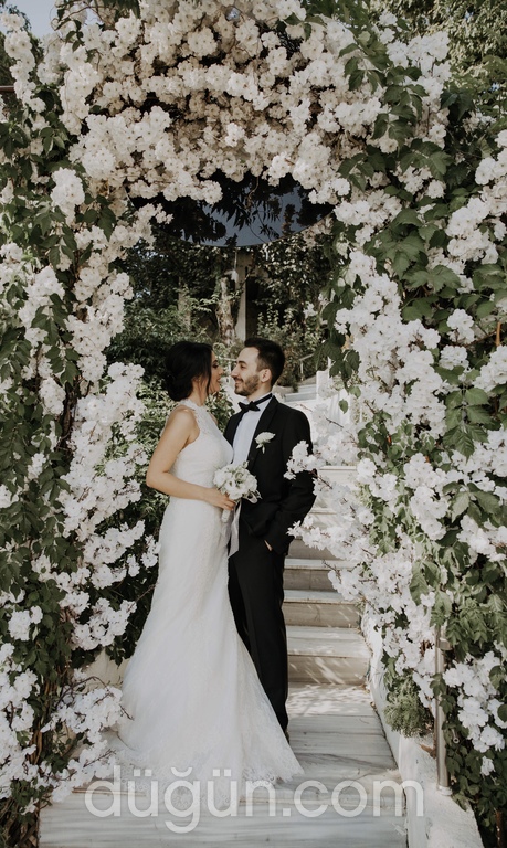 Gözde Balseven Photographer