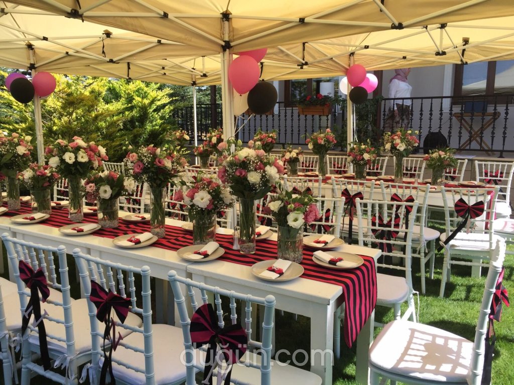 Hayalin Organizasyon