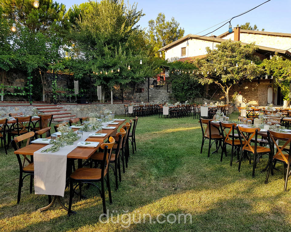 Reçine At Çiftliği