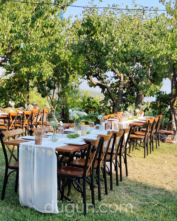 Reçine At Çiftliği