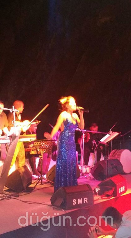 Smr Ses Işık Sahne Görüntü Sistemleri