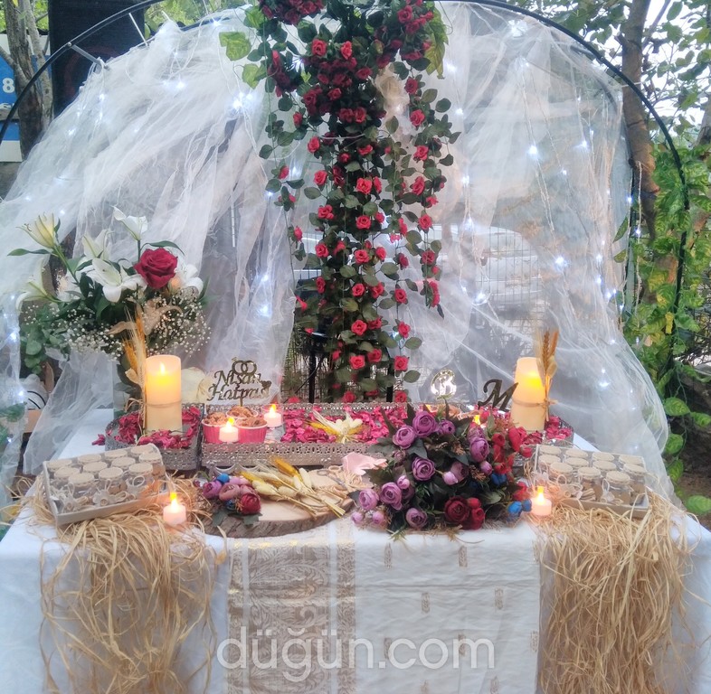 Organizasyon Merkezi