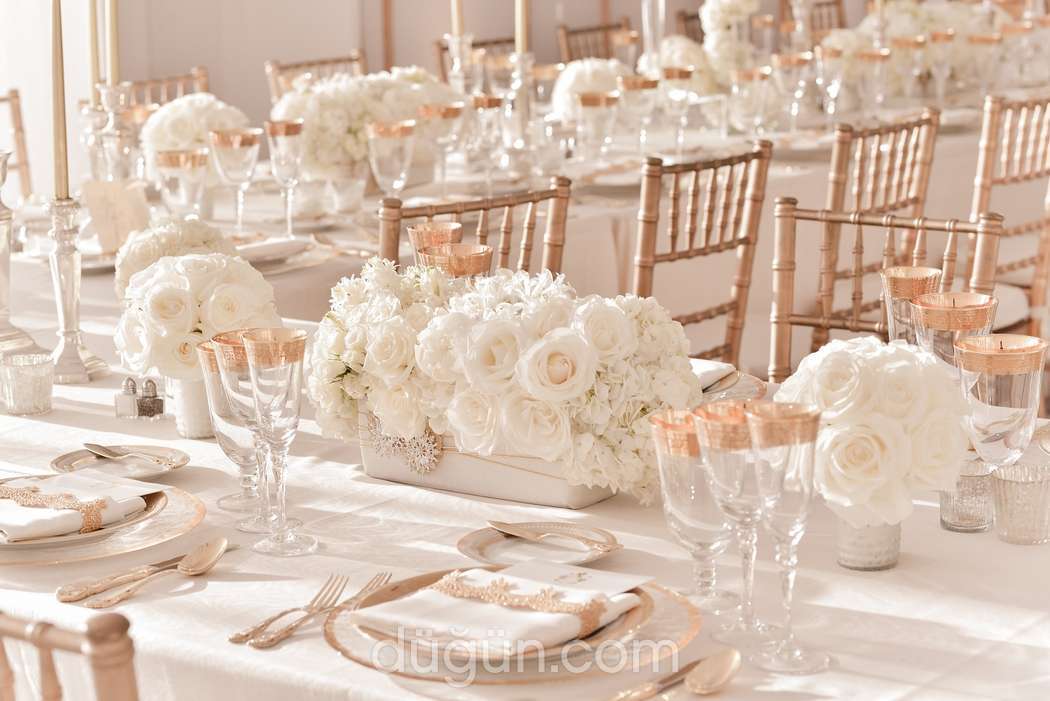 Organizasyon Merkezi