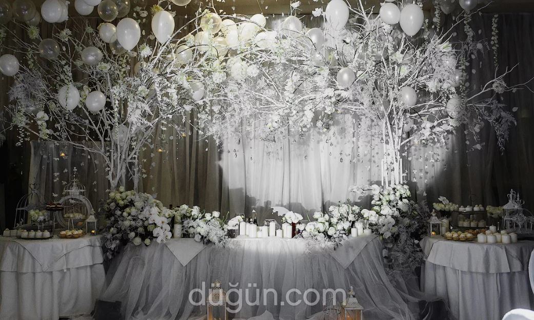 Organizasyon Merkezi