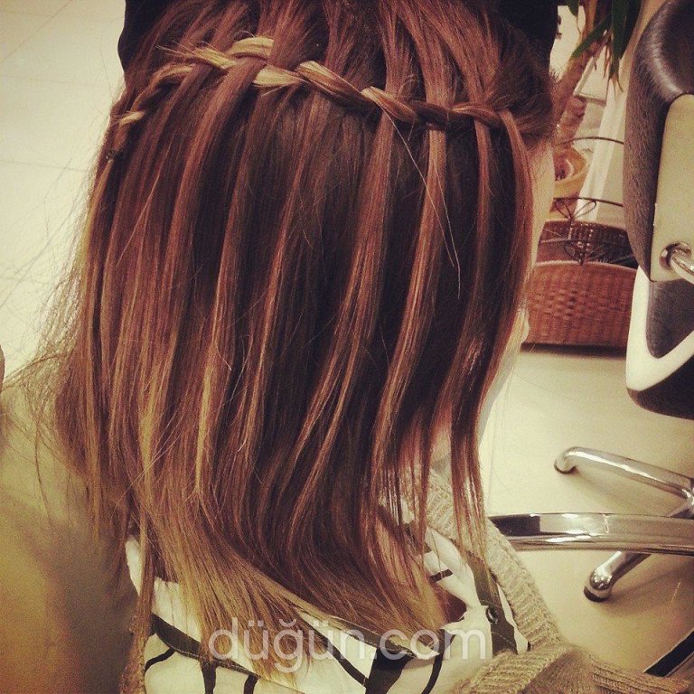 Salon Leo - 339382