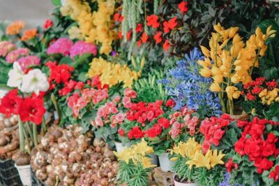 Gözde Çiçekçiniz