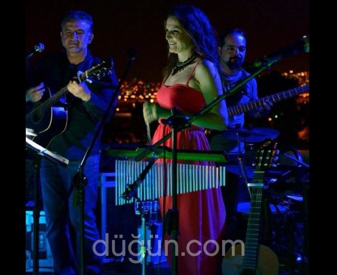 Finamor Ses Sahne Işık Müzik Organizasyon