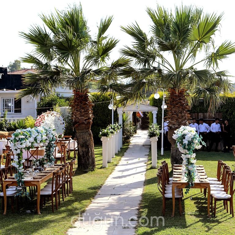Violet Wedding & Events