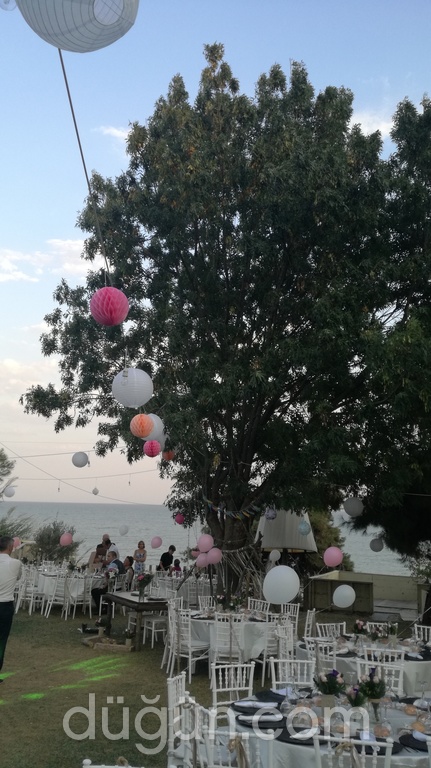 Bağtur Kır Düğünü
