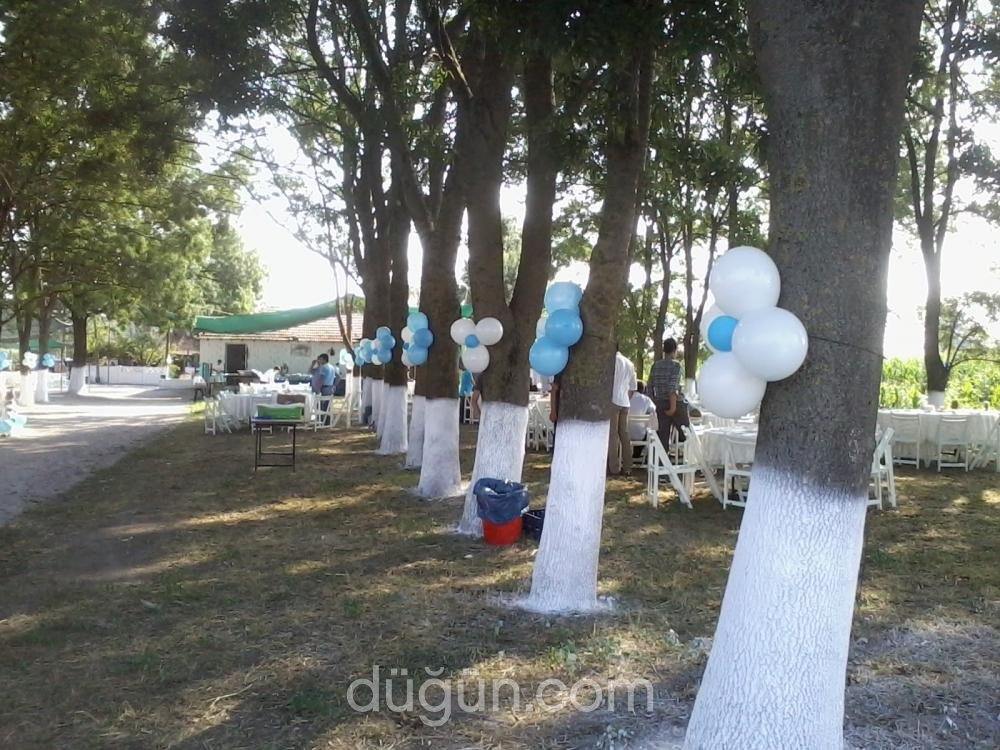 Şahnaz Yıldız Organizasyon