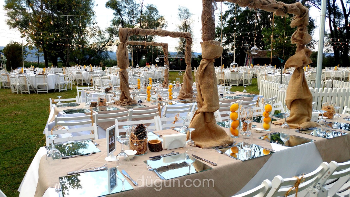 Artı Bir Ajans Organizasyon