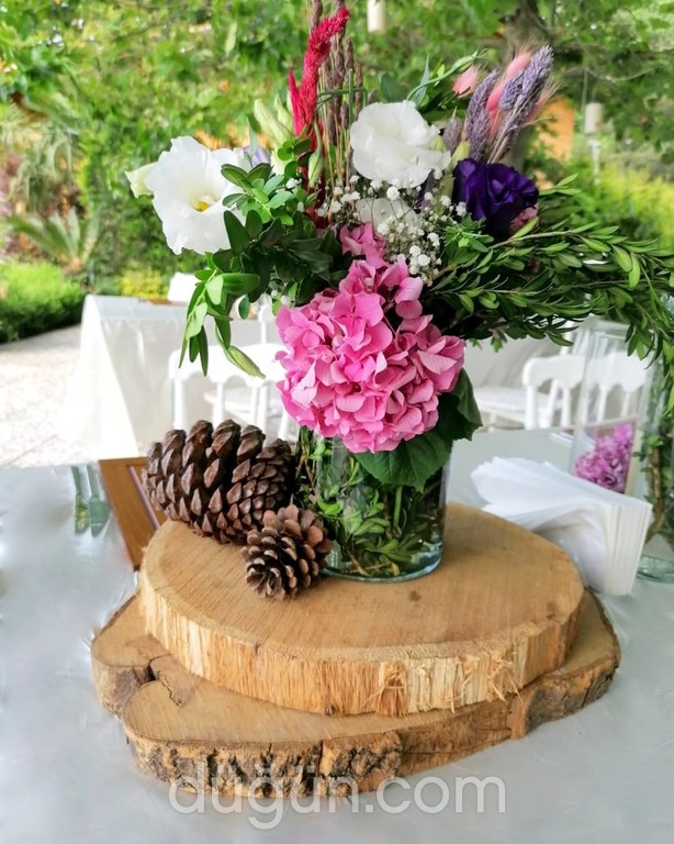 Artı Bir Ajans Organizasyon