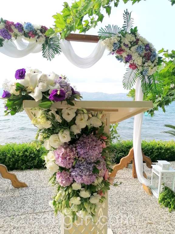 Artı Bir Ajans Organizasyon