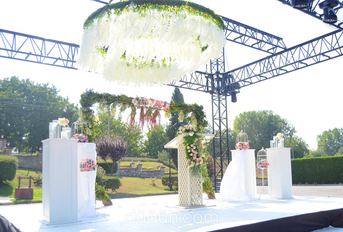 Artı Bir Ajans Organizasyon