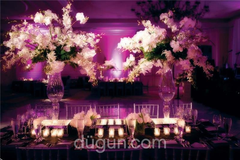 Peri Kızı Sude Organizasyon