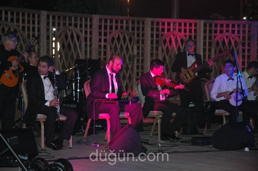 Artnüans Müzik ve Sahne Organizasyonları